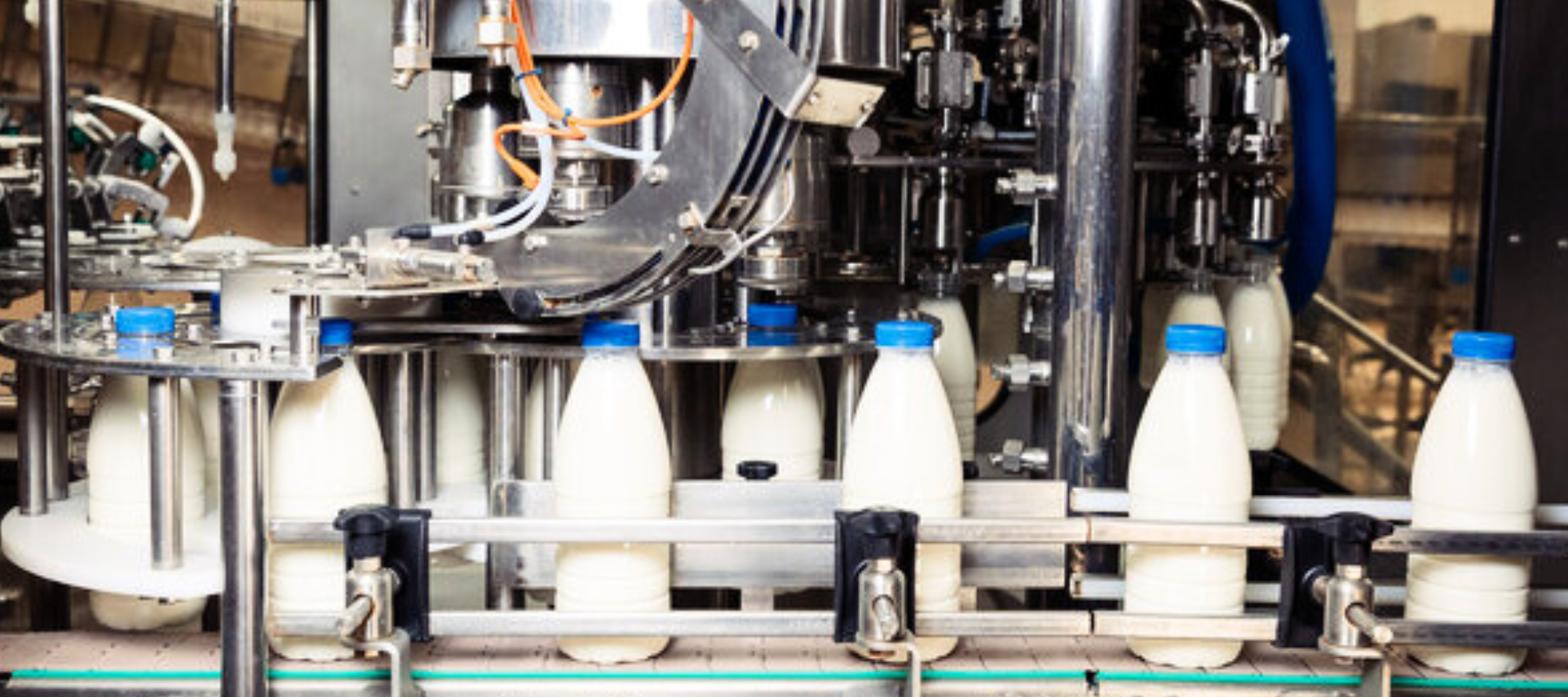 Cornell University's CREA opens call for food innovators for its fourth cohort of Dairy Runway program
